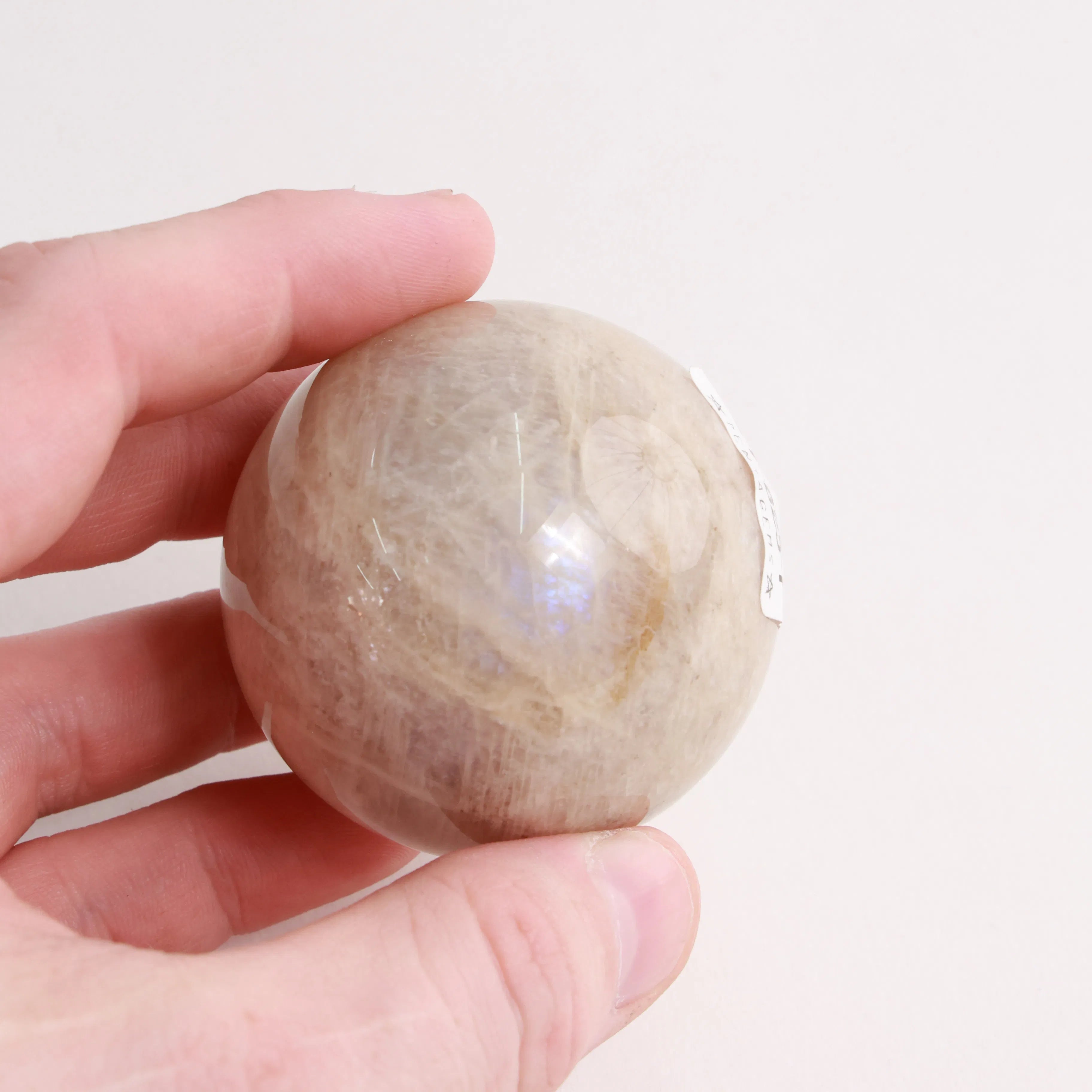 Blue Flash Moonstone | Choose Yours