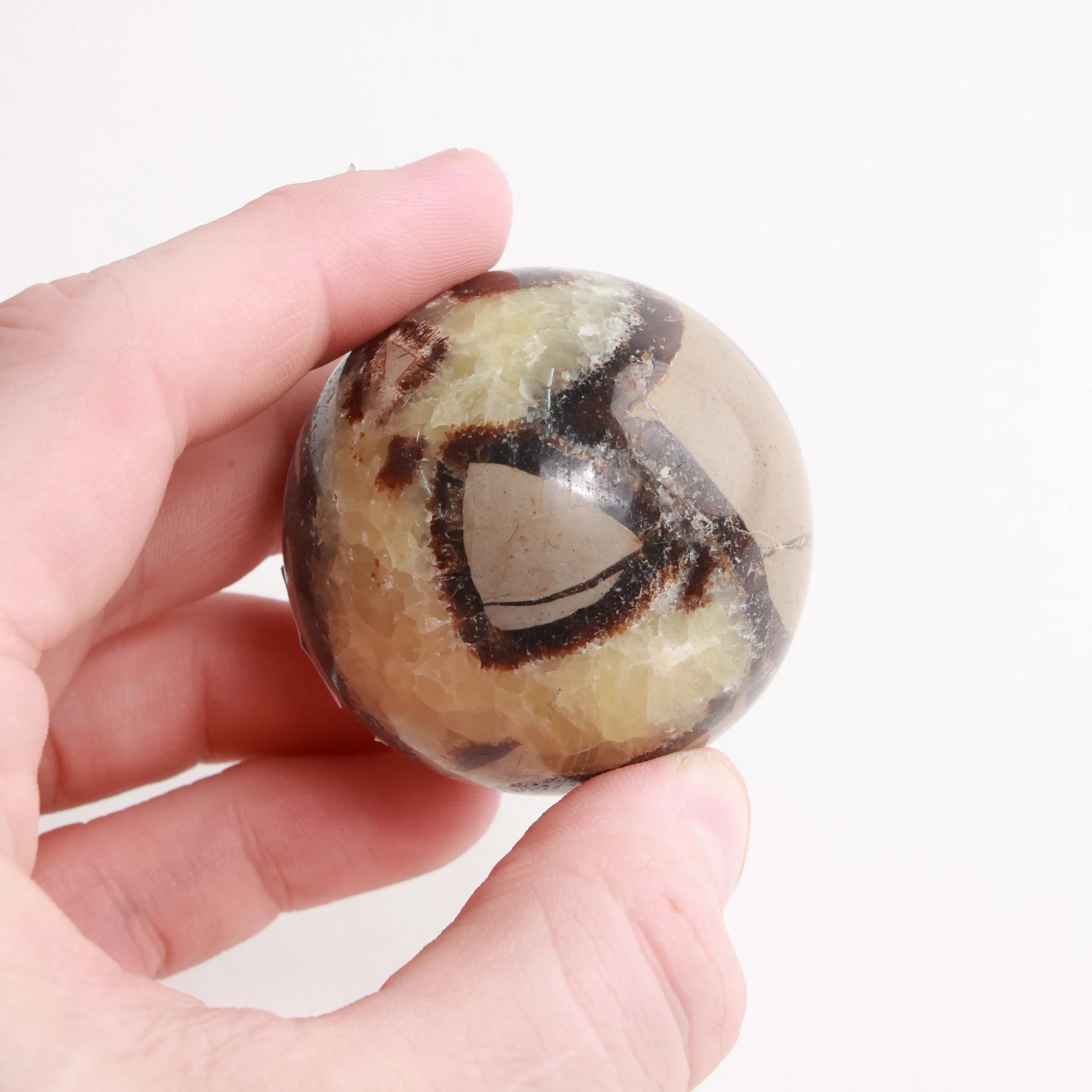 Septarian Crystal Spheres — Natural Patterned Stone (Exact Pieces)