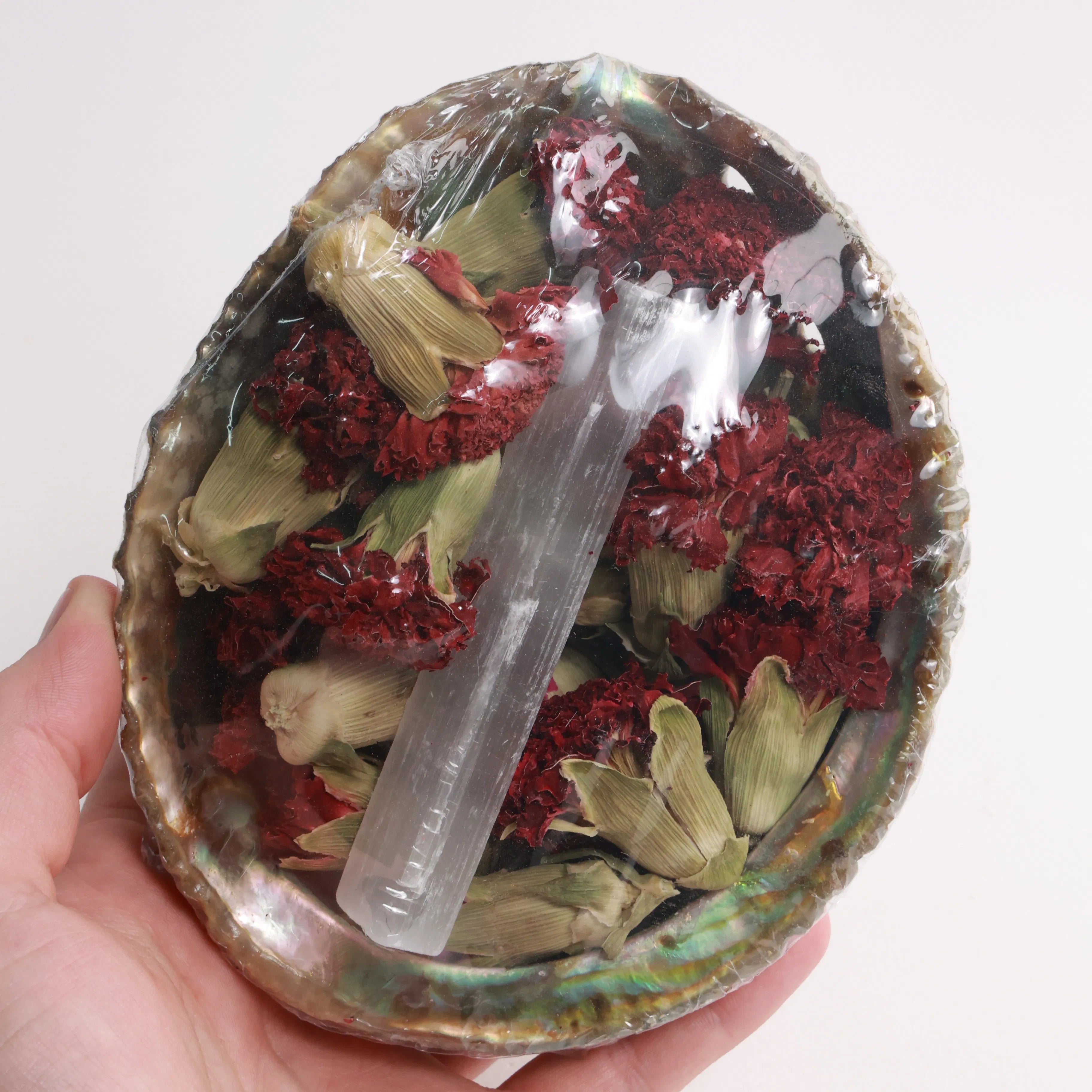 Abalone Shell Bundles | Selenite & Dried Herbs