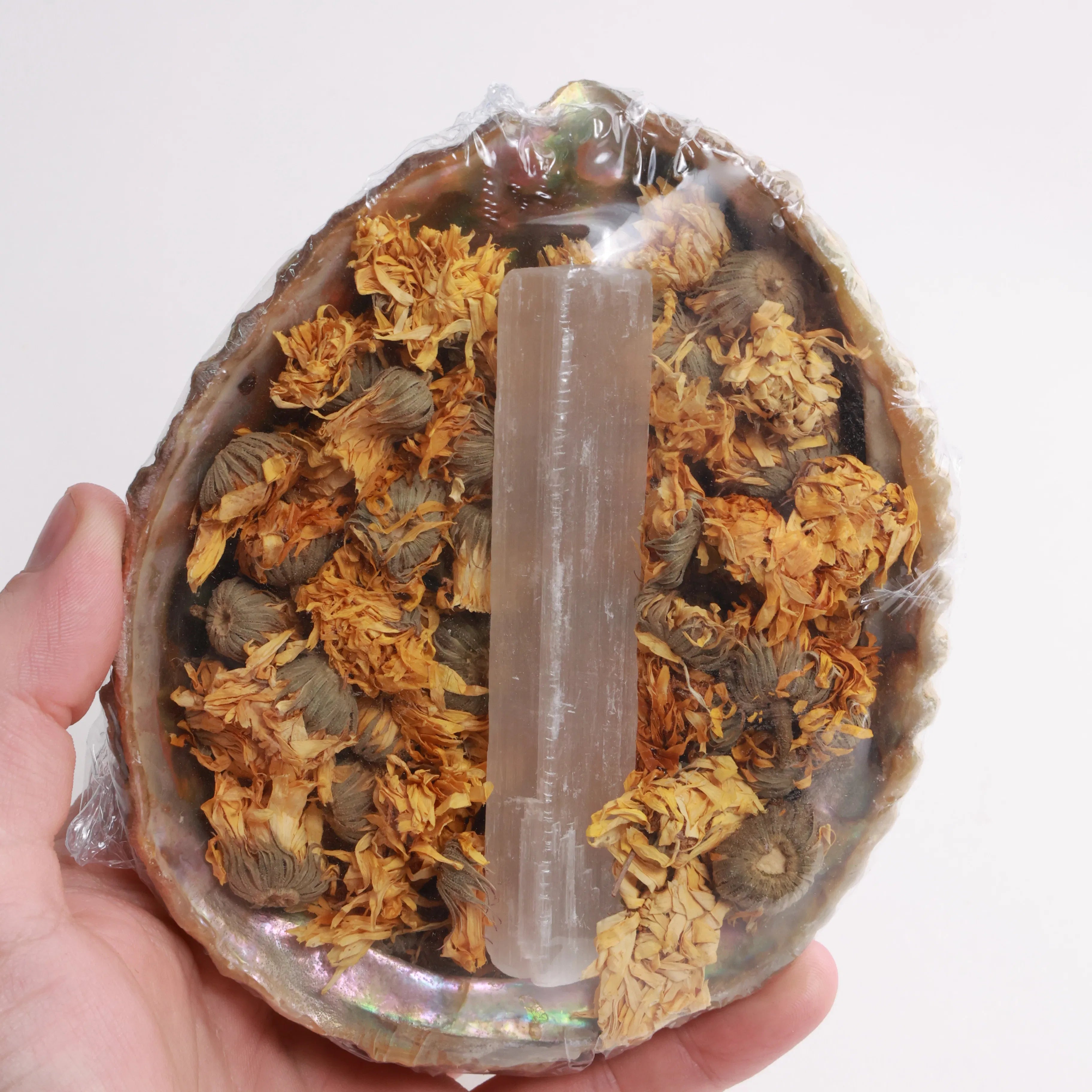 Abalone Shell Bundles | Selenite & Dried Herbs