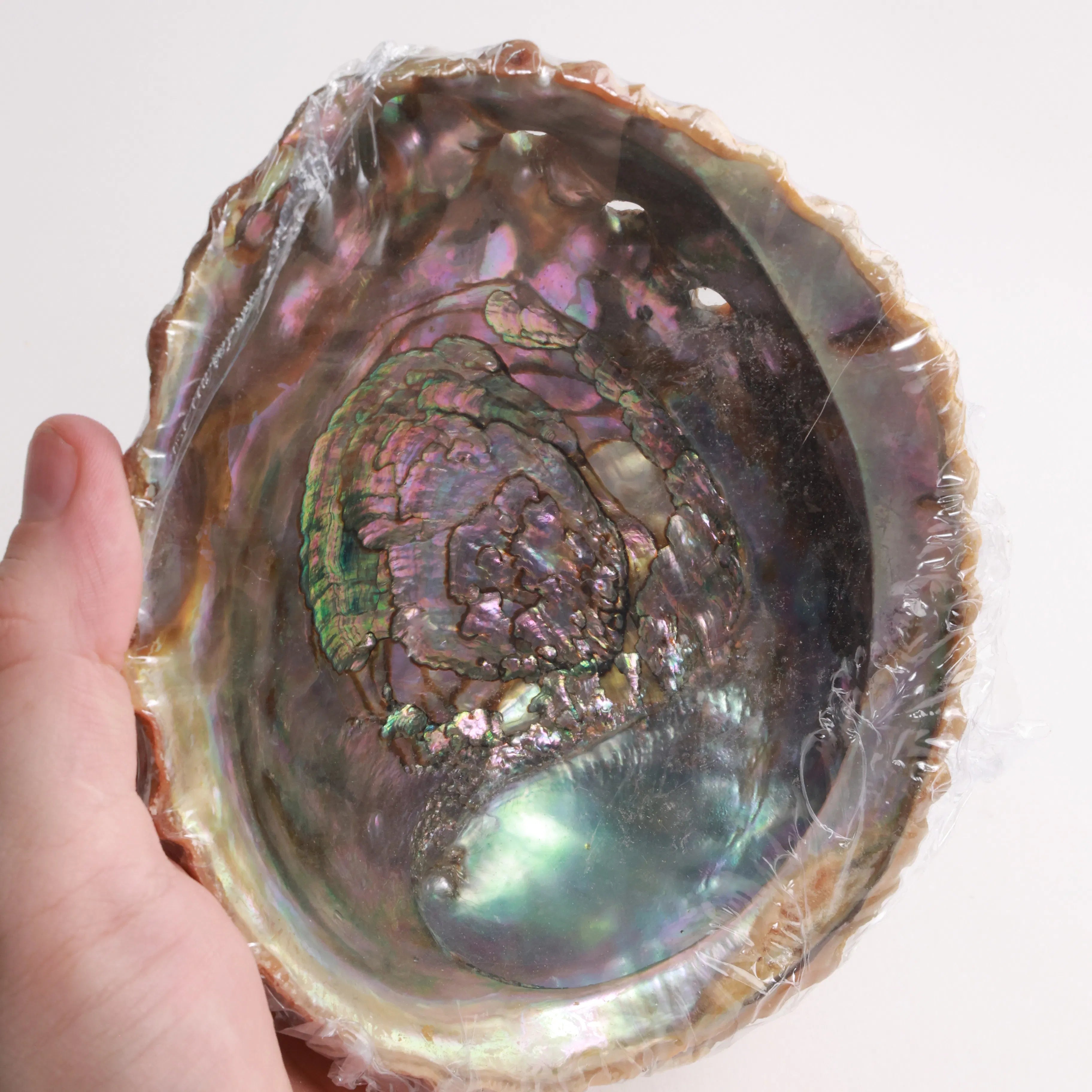 Abalone Shell Bundles | Selenite & Dried Herbs
