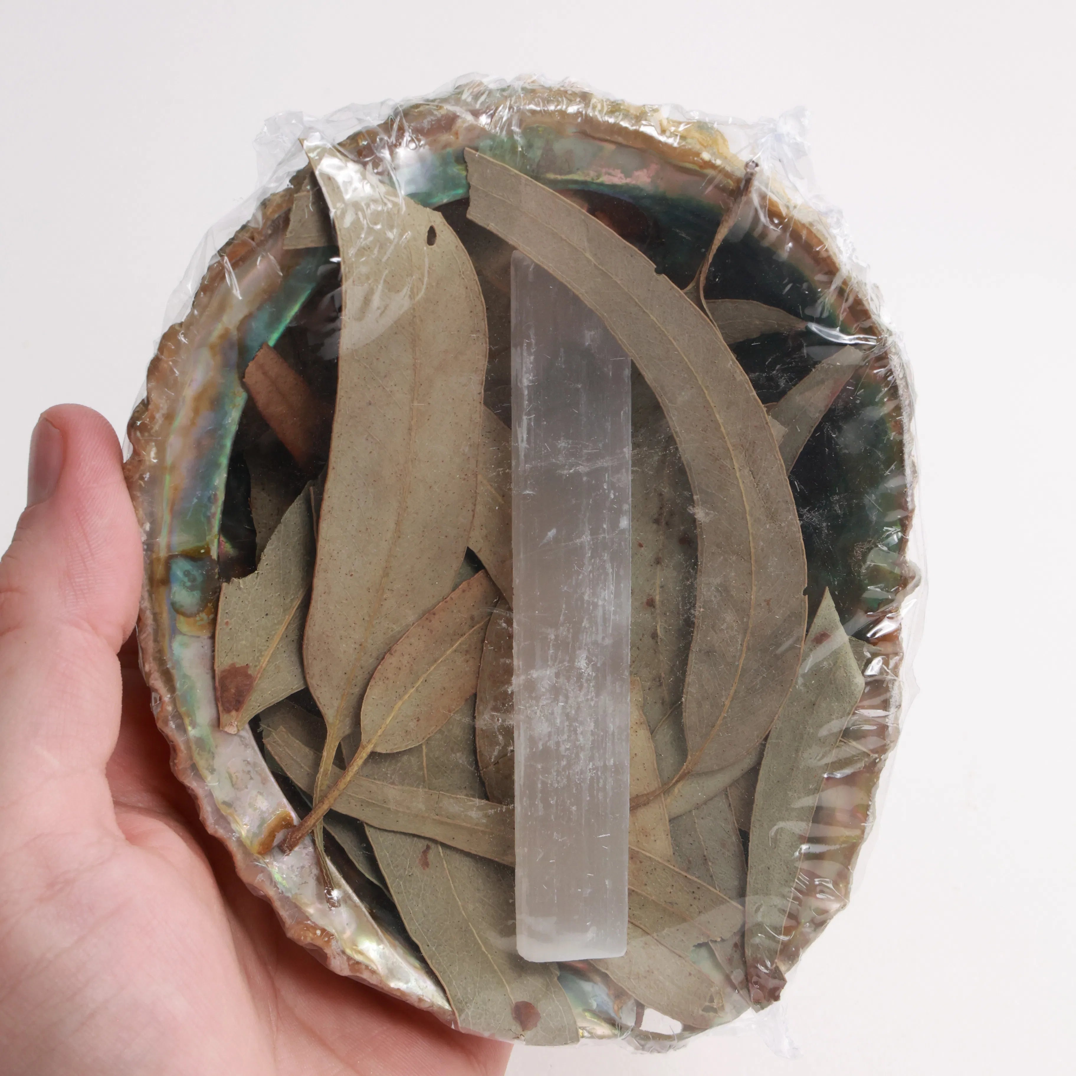 Abalone Shell Bundles | Selenite & Dried Herbs
