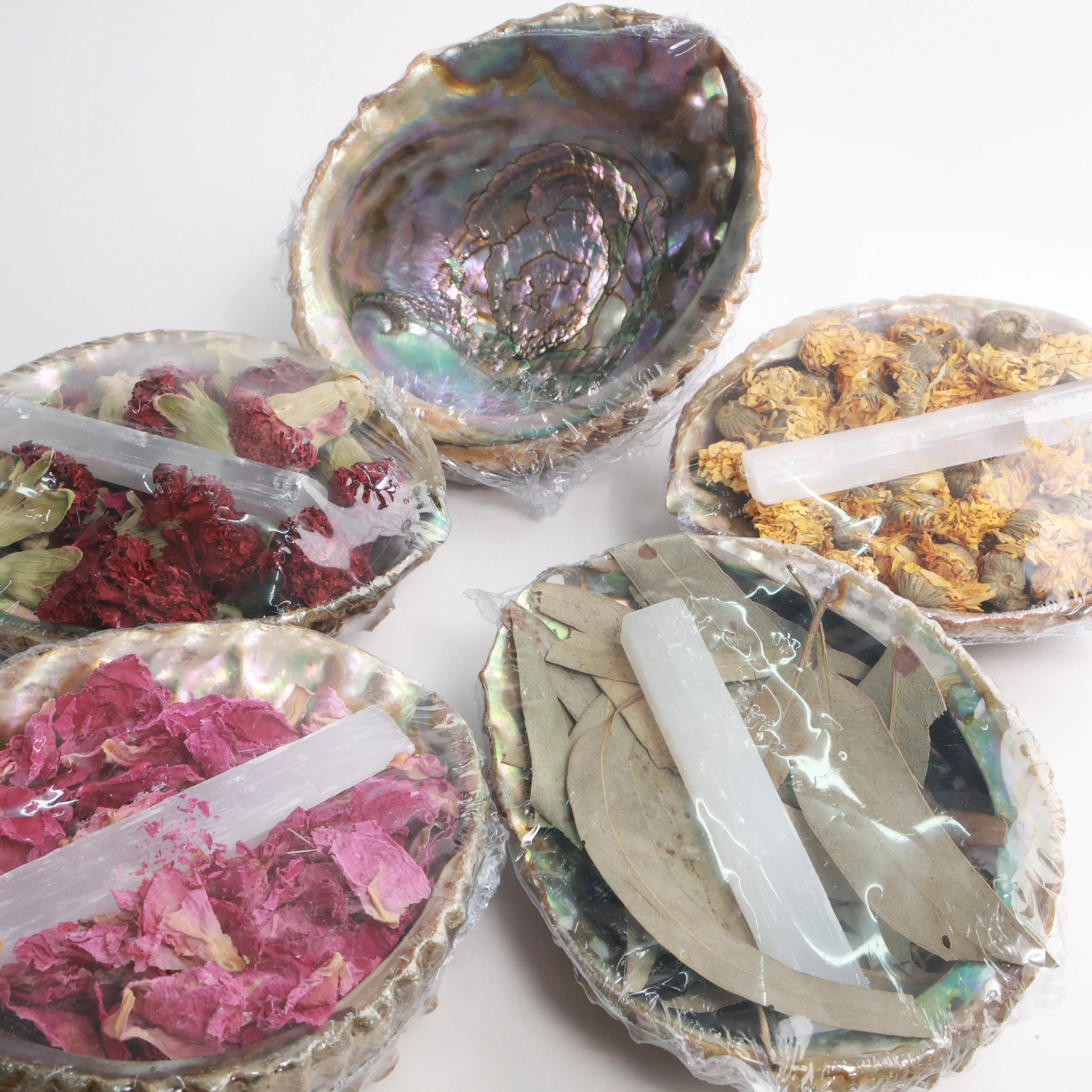 Abalone Shell Bundles | Selenite & Dried Herbs