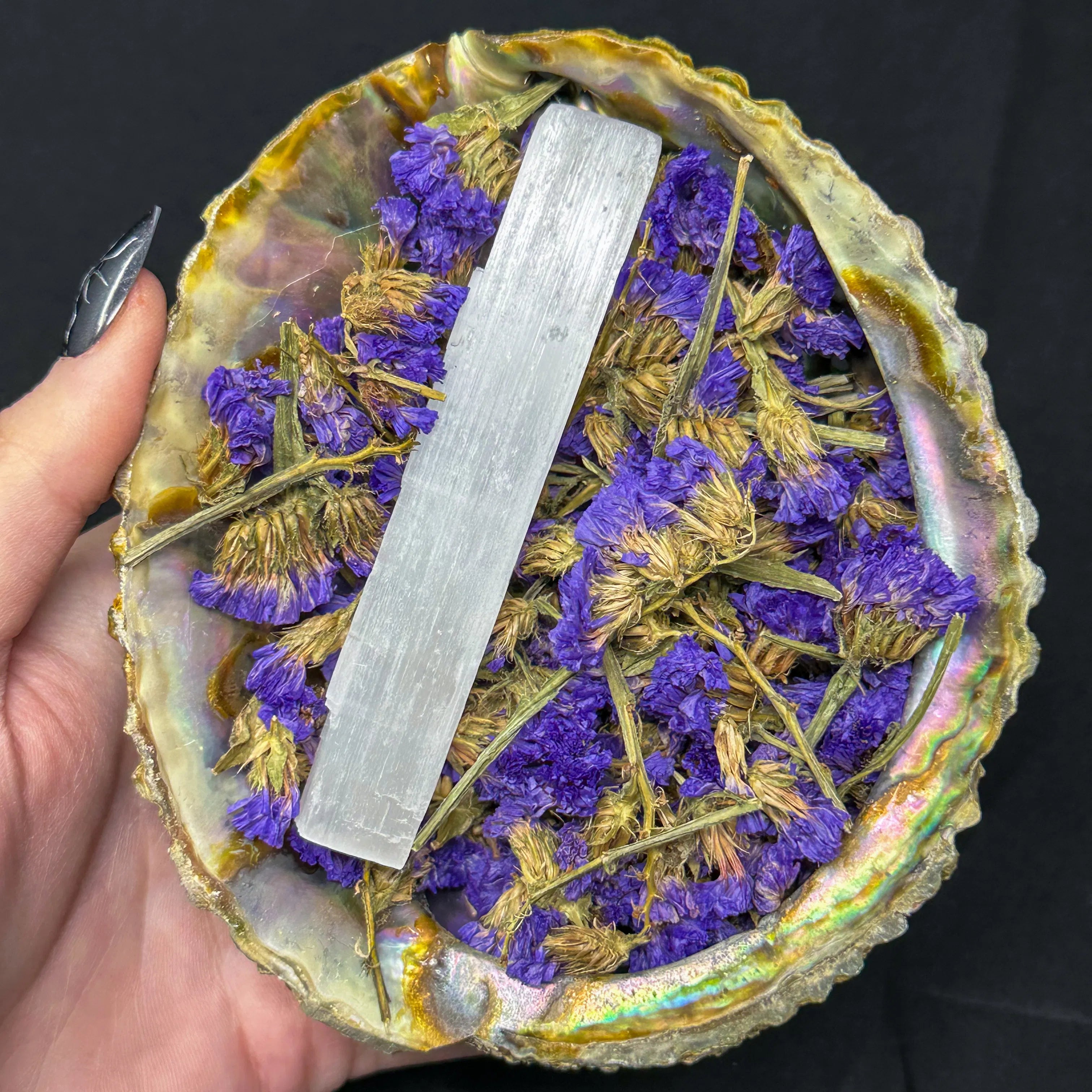 Abalone Shell Bundles | Selenite & Dried Herbs